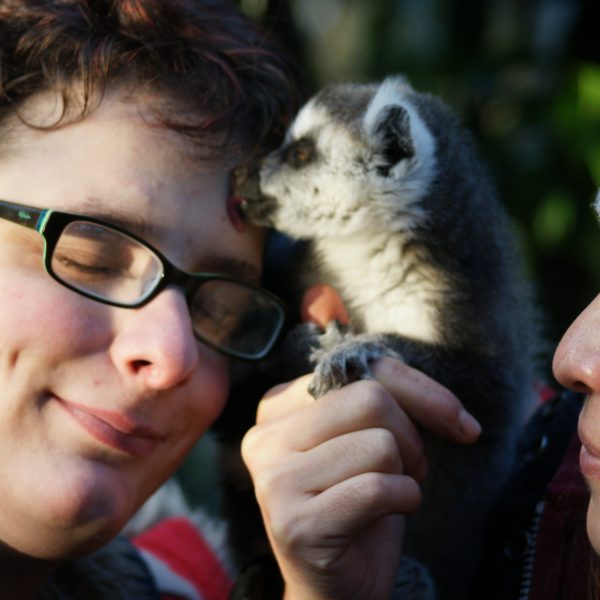 Biparc image décrivant l'intervention Assistée par Animal