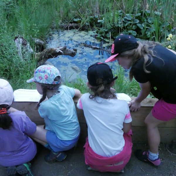 Sensibilisation des enfants par le jeux