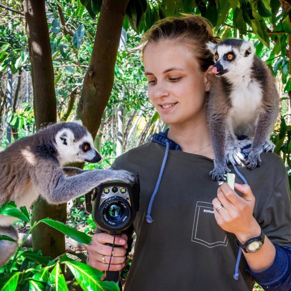 Ophélie et les lémuriens