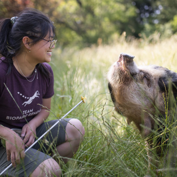 Nelly Bettens de Kelsa Photographie
