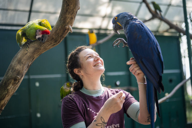 Chloe Gonseth de Kelsa Photographie