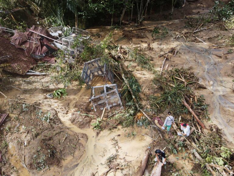 Destroyed individual cages for adult orangutans copyright YELSOCP