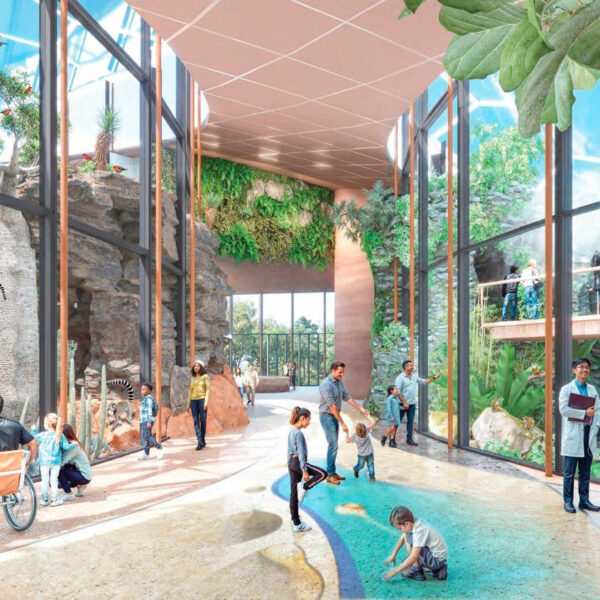 Entre deux espaces tropicaux du projet de futur Bioparc Genève