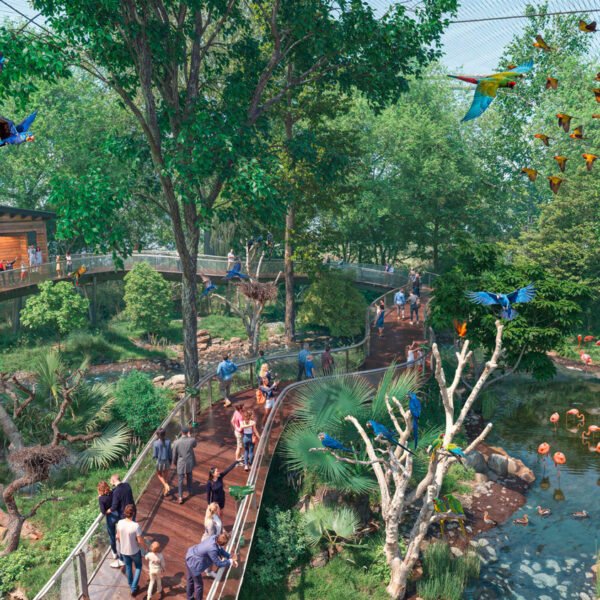 Vue de la volière pour le projet de futur Bioparc Genève