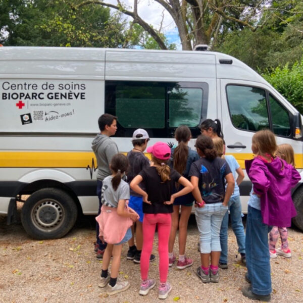 Enfants devant le camion de centre de soin mobile du Bioparc Genève pour les Camps d'été